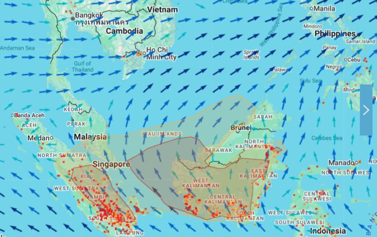 DOE monitors bush and peatland fires in Mukah, Daro in Sarawak amid dry spell