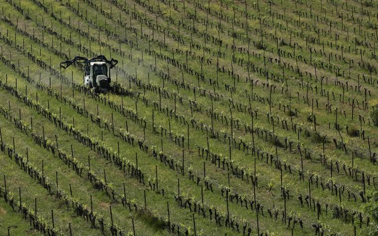 France to give more than €1 billion of aid for weather-hit farmers