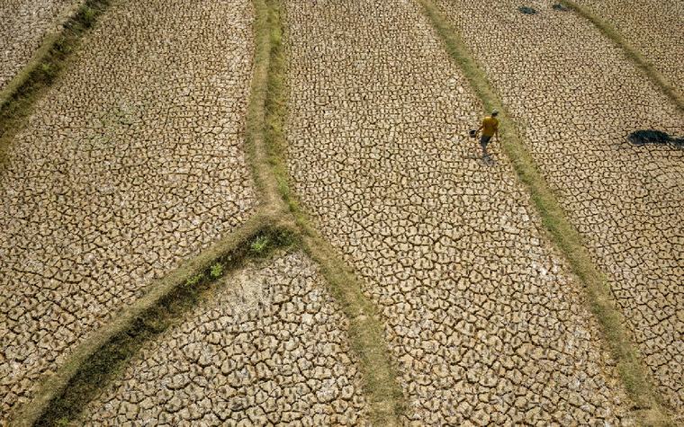 El Nino to be ‘very strong’, to last until February, warns UN