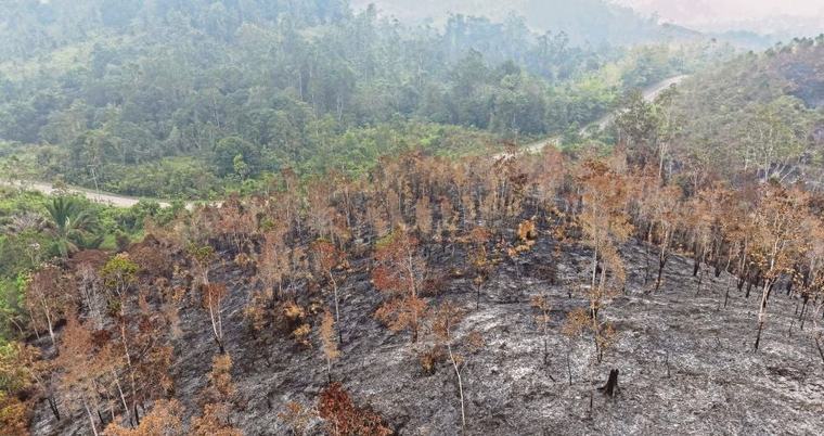 Jerebu memburuk, usaha pemadaman api di Kalimantan diperhebat