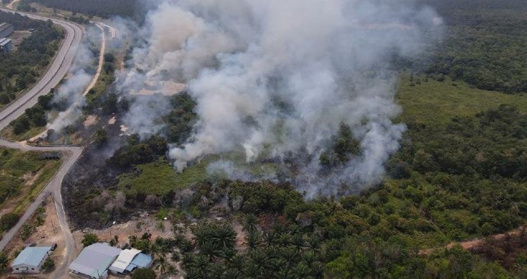 Kebun tanah gambut di Kampung Sungai Buntu lebih 10 hektar terbakar