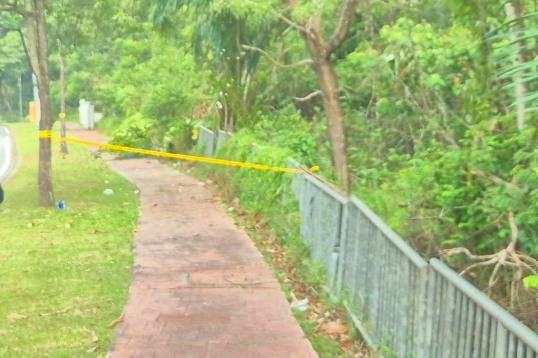Decomposed body found in Bukit Jelutong