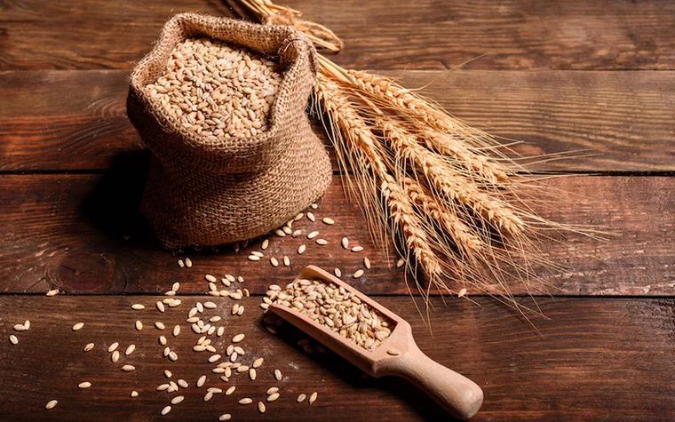 World food prices at highest since 2022 as supply risks mount, says FAO