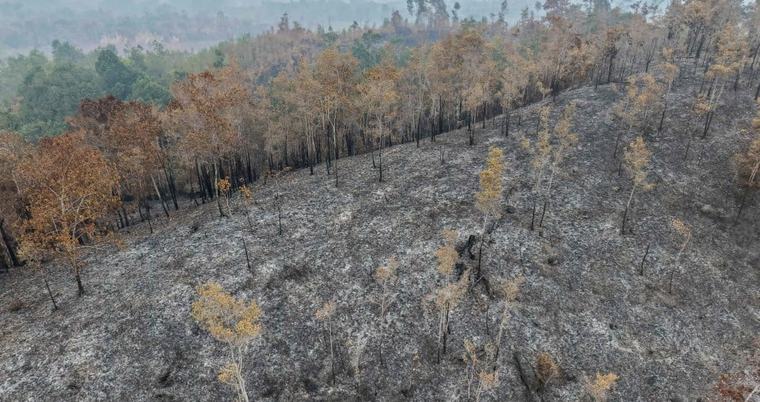 Bilangan titik panas kekal tinggi di Sumatera, Kalimantan